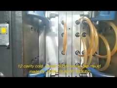 24/410 حرارة الركاب القالب الحقن 12جوفة مقفل الغطاء القالب للحزمة